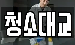 청소대교