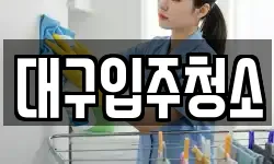 대구입주청소