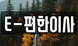 E-편한이사