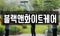 블랙앤화이트케어