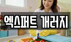 엑스퍼트 개러지