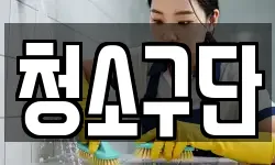 청소구단