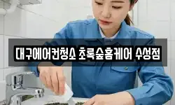 대구에어컨청소 초록숲홈케어 수성점