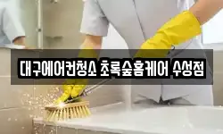 대구에어컨청소 초록숲홈케어 수성점