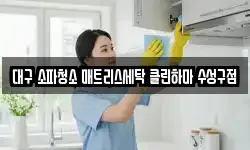 대구 소파청소 매트리스세탁 클린하마 수성구점