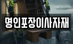 명인포장이사자재