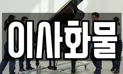 이사화물
