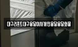 대구리프트대구용달이사개인용달용달화물