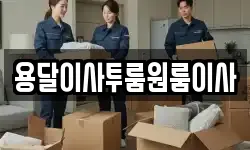 용달이사투룸원룸이사