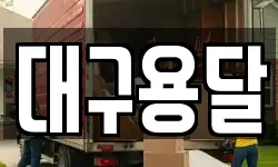대구용달