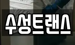 수성트랜스