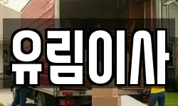 유림이사