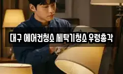 대구 에어컨청소 세탁기청소 우렁총각