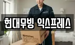 현대무빙 익스프레스