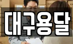 대구용달