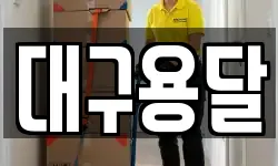 대구용달