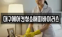 대구에어컨청소해피바이러스