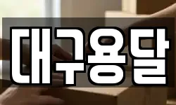 대구용달