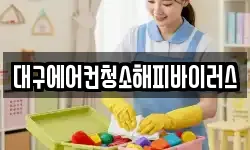 대구에어컨청소해피바이러스