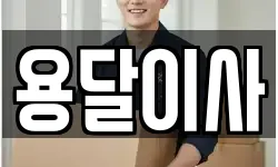 용달이사