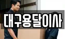 대구 중구 남성로 이사,용달이사,포장이사,원룸이사,보관이사