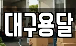 대구용달