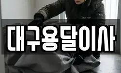 대구용달이사