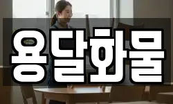 용달화물