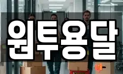 원투용달