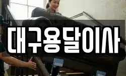 대구용달이사