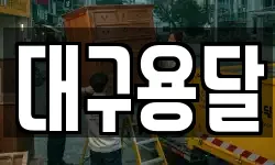 대구용달
