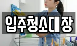 입주청소대장