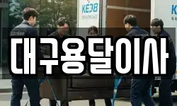 대구용달이사