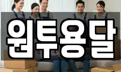 원투용달