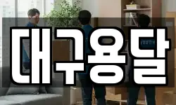대구용달