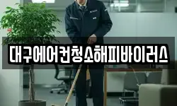 대구에어컨청소해피바이러스