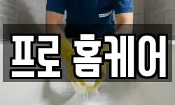 프로 홈케어