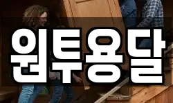 원투용달