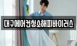 대구에어컨청소해피바이러스