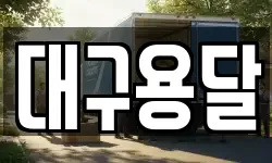 대구용달