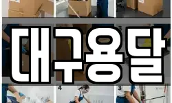 대구용달