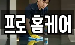 프로 홈케어