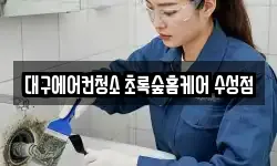 대구에어컨청소 초록숲홈케어 수성점