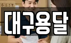 대구용달