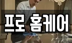 프로 홈케어