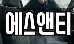 에스앤티