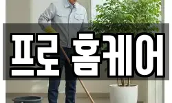 프로 홈케어