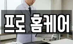프로 홈케어