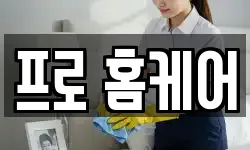 프로 홈케어