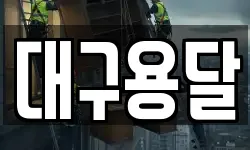 대구용달